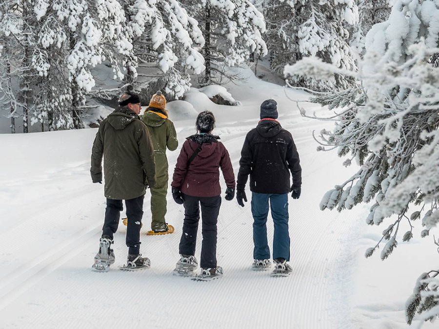 Sneeuwschoenwandeltocht
