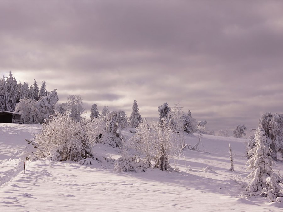 Wintersport Hessen Wintersport Hessen