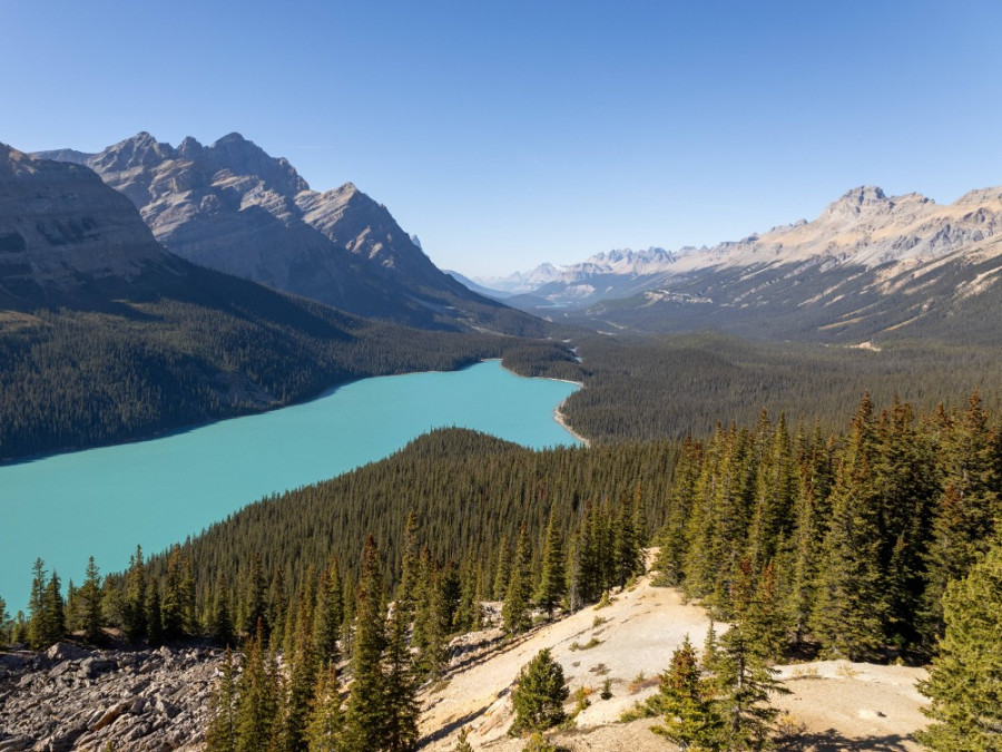 Peyto meer Canada