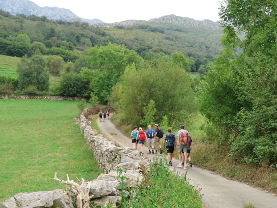 Arenas de Cabrales vallei
