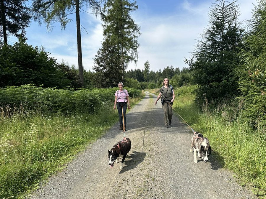 Huskytrekking Weserbergland Huskytrekking Weserbergland