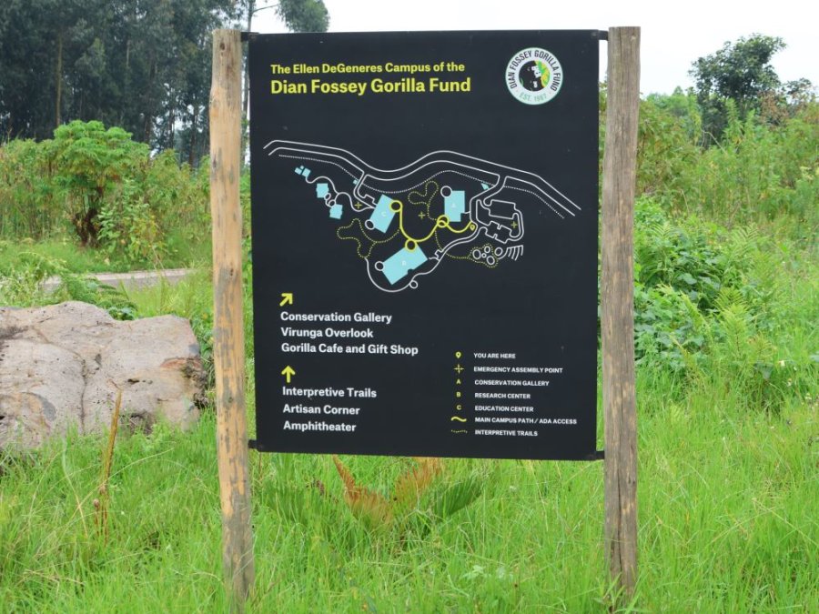 Dian Fossey