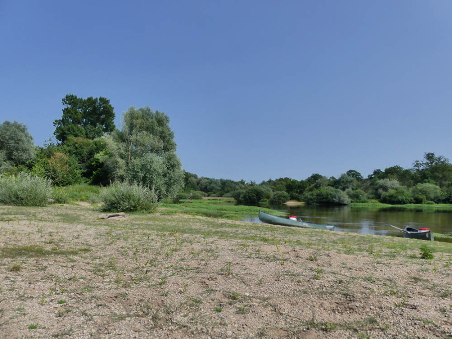 Wildkamperen langs de Loire