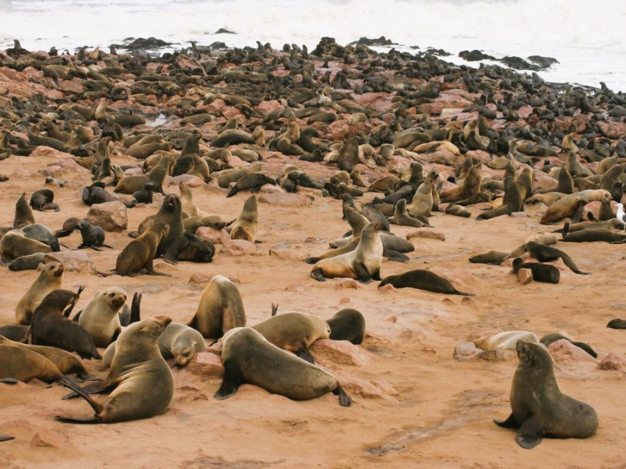 drukte op het strand