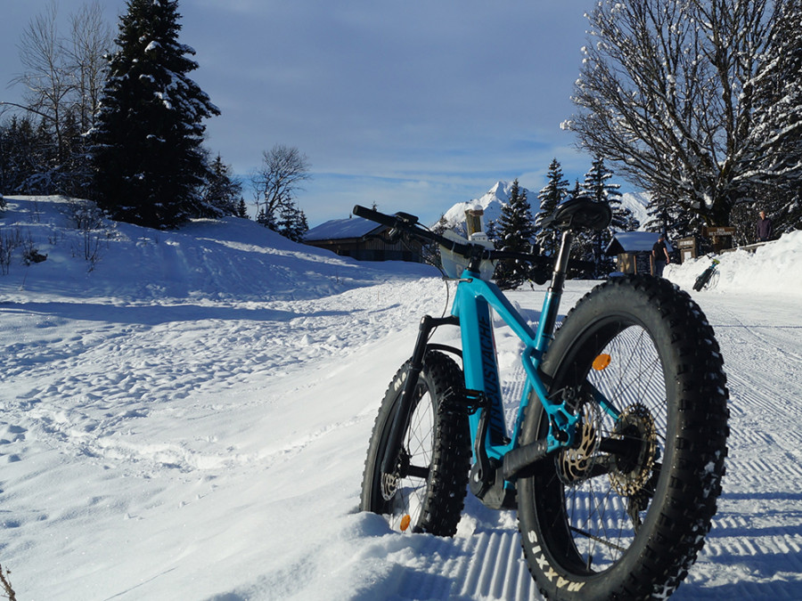 Fatbike dikke banden