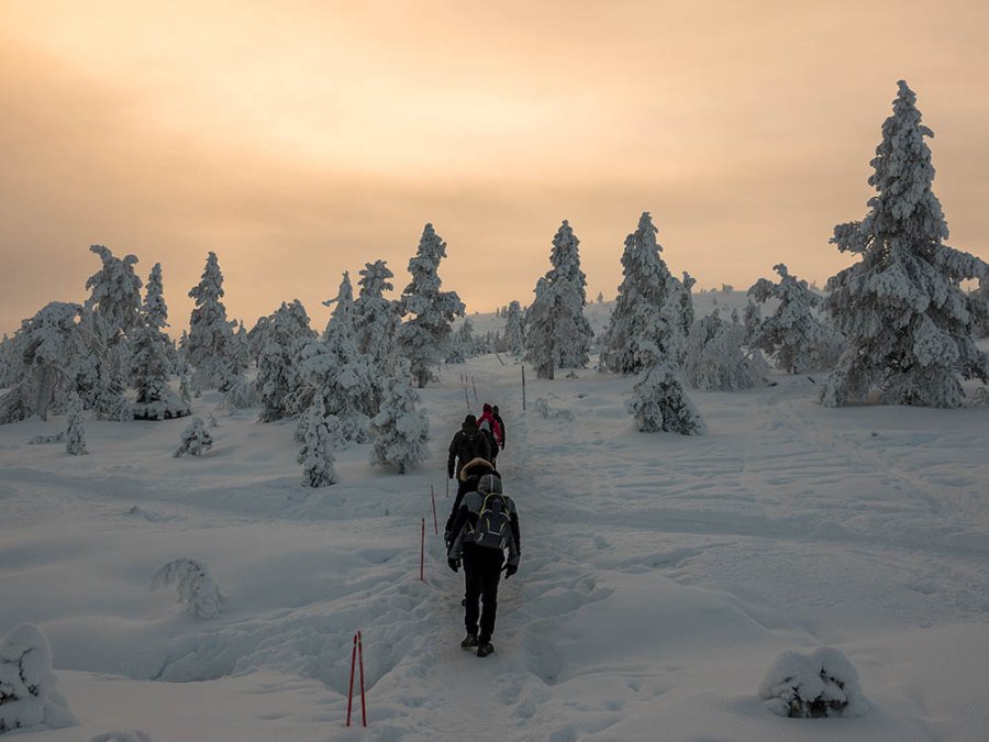 Hike in Riisitunturi
