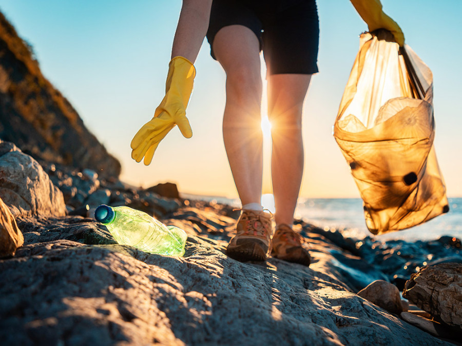 Beach clean-up