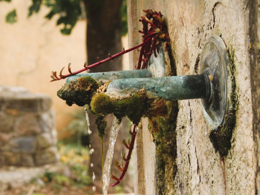 Campagne en Provence