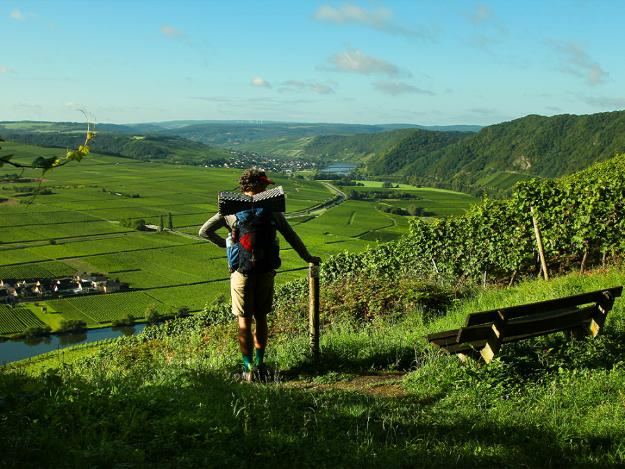 Moselsteig wandelen