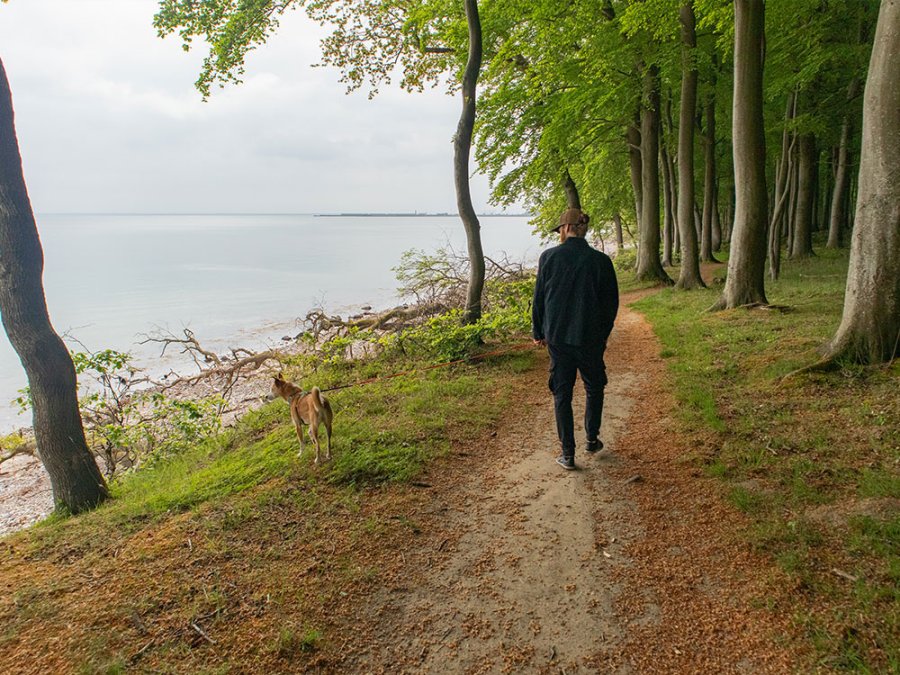 Wandelen in Zuid-Denemarken Wandelen in Zuid-Denemarken