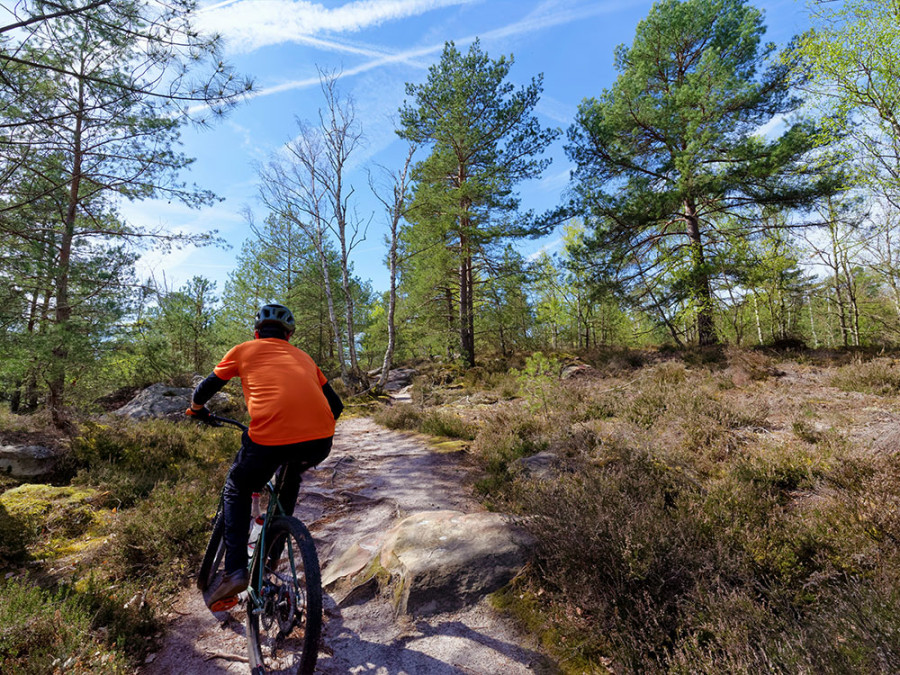 Mountainbiken in Fontainebleau