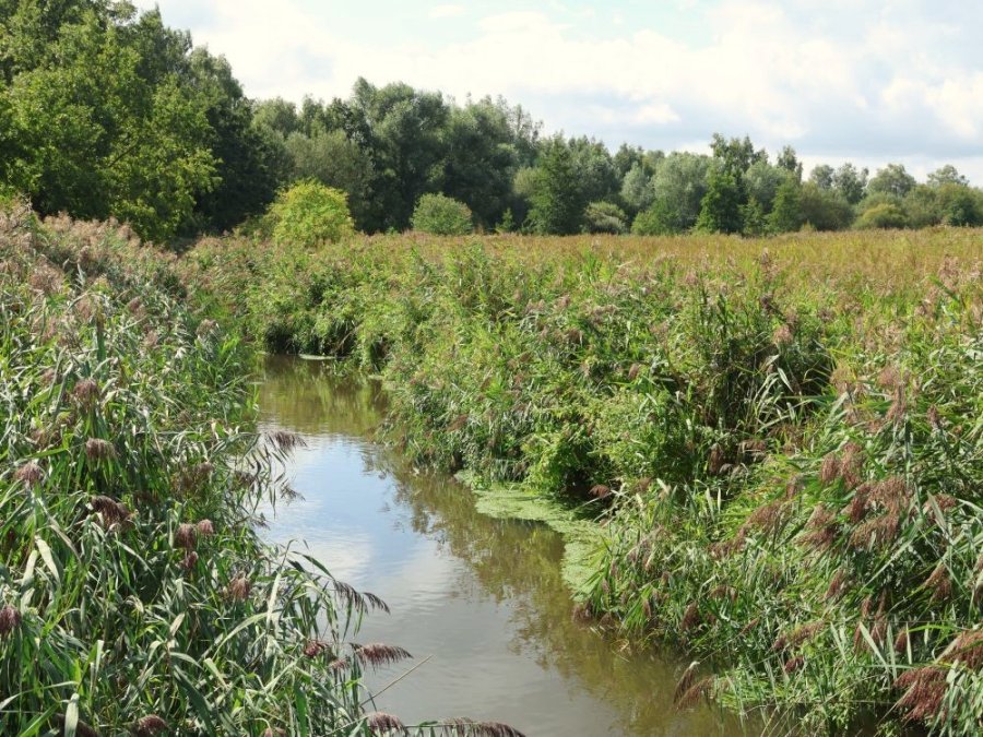 Hageven-de Plateaux