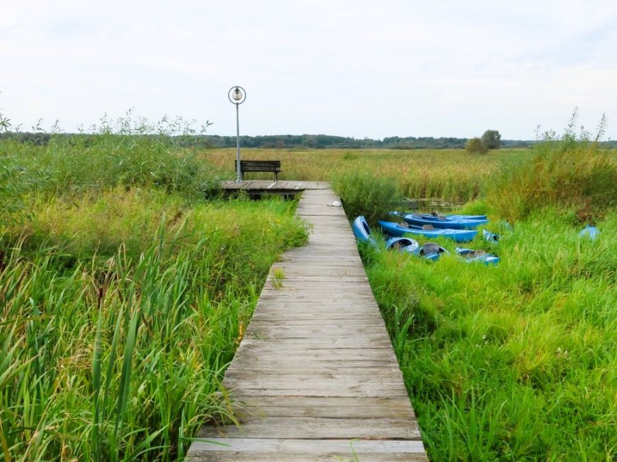 Kajakken in de Poolse wetlands Kajakken in de Poolse wetlands
