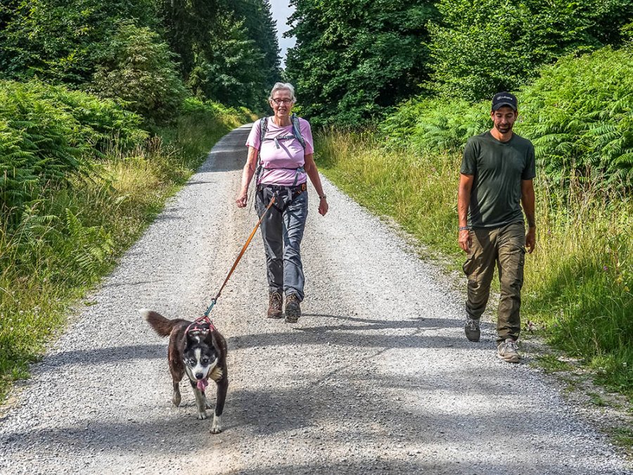 Huskytrekking Huskytrekking