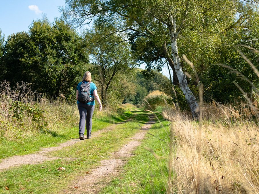 Wandelen Van Gogh nationaal Park