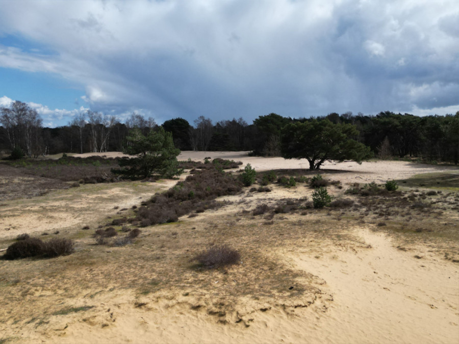 Wandelpad Libel Kalmthoutse Heide