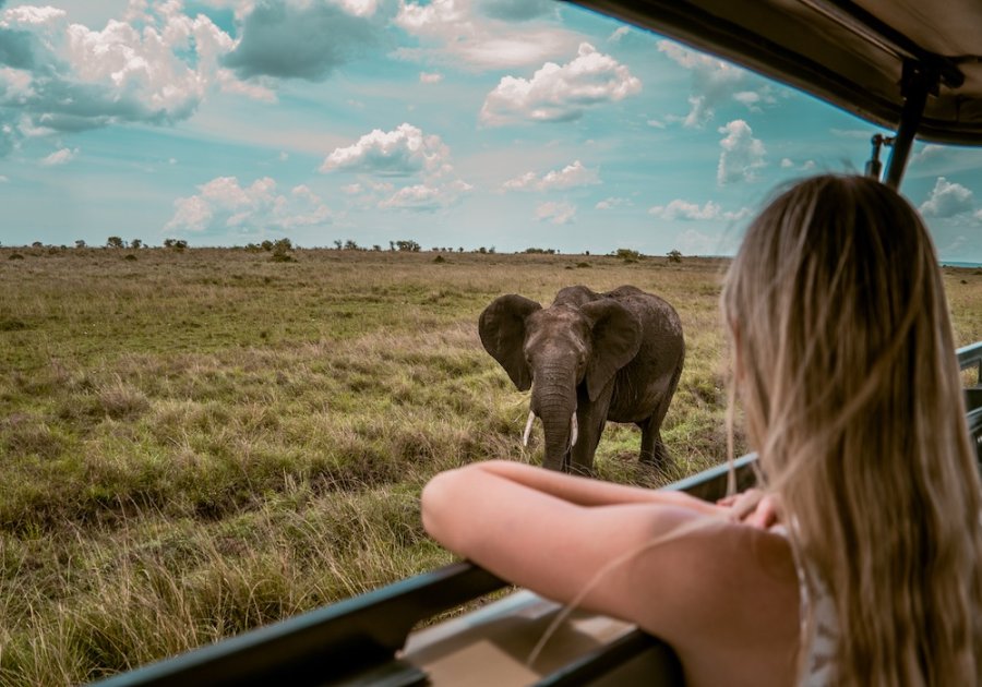 Wildlife van dichtbij in Kenia Wildlife van dichtbij in Kenia