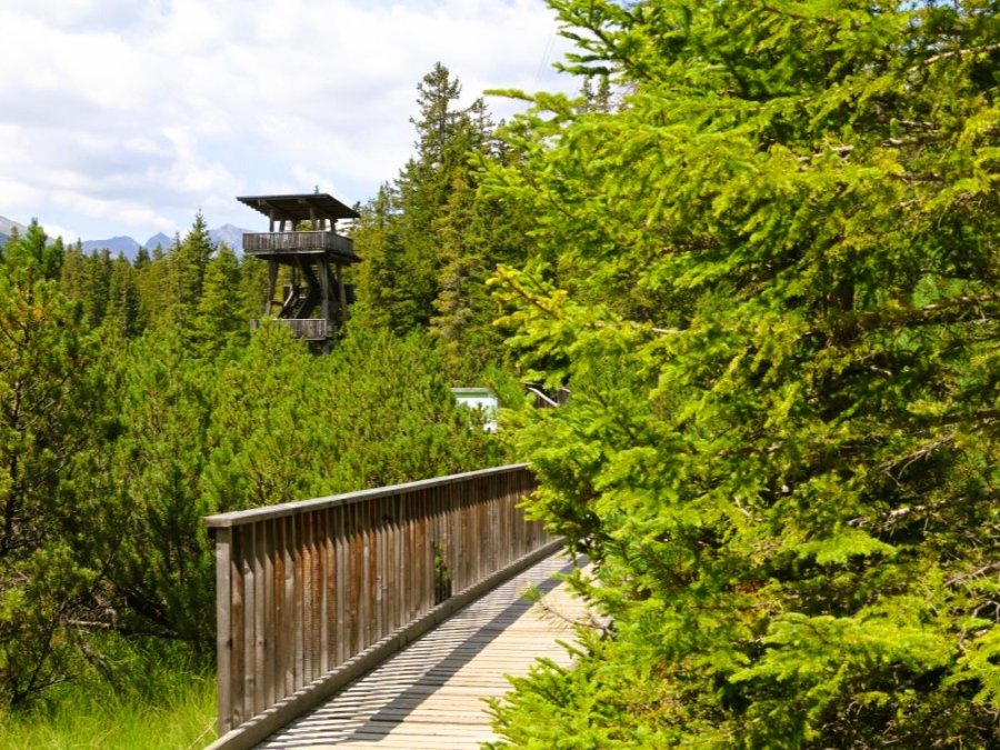 Natuurpark Kaunergrat Natuurpark Kaunergrat