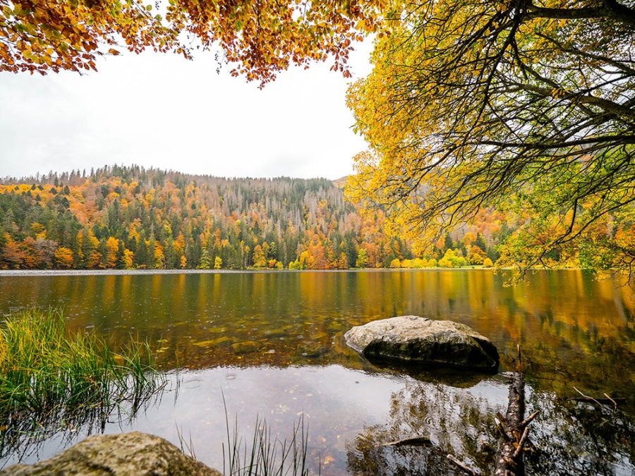 Feldsee bij de Feldberg Feldsee bij de Feldberg