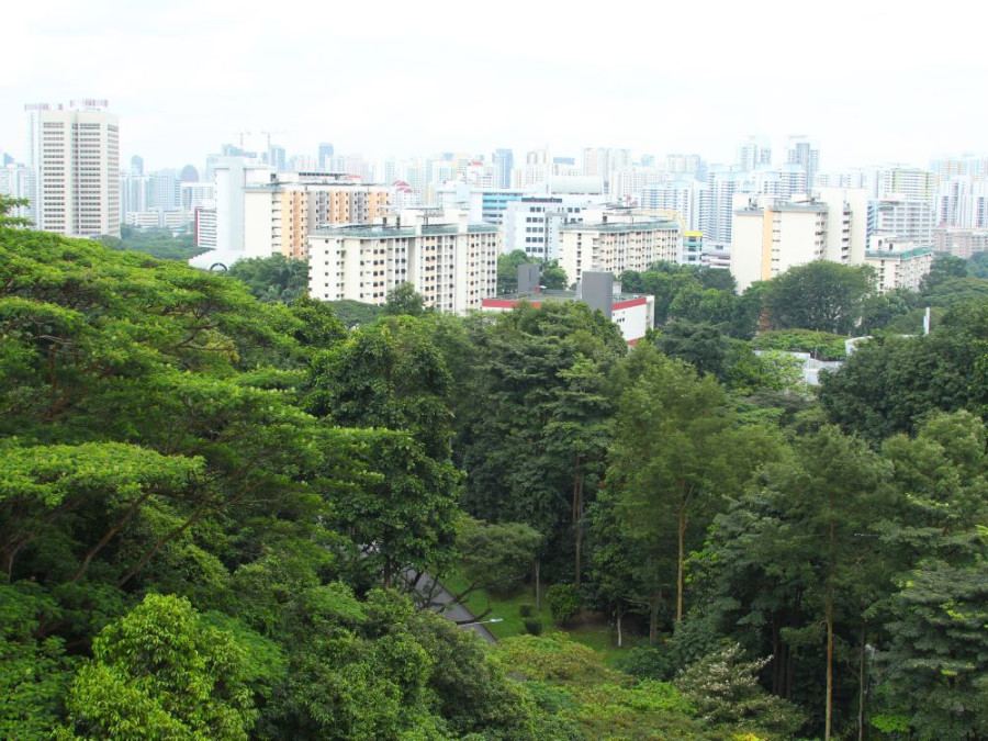 Southern Ridges Singapore