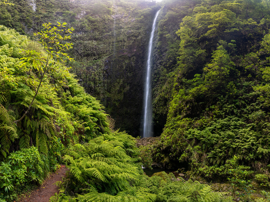 Caldeirão Verde