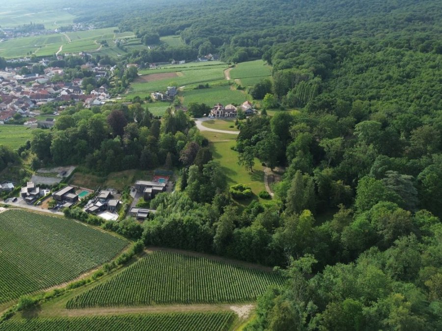 Natuur Montagne de Reims Natuur Montagne de Reims