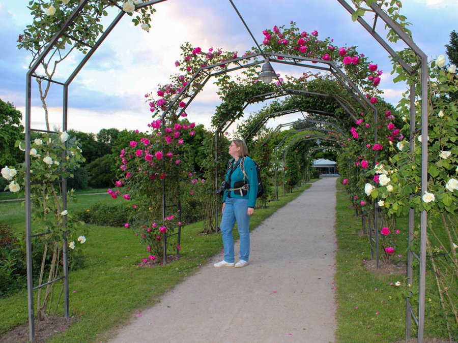 Grüttpark Lörrach Grüttpark Lörrach