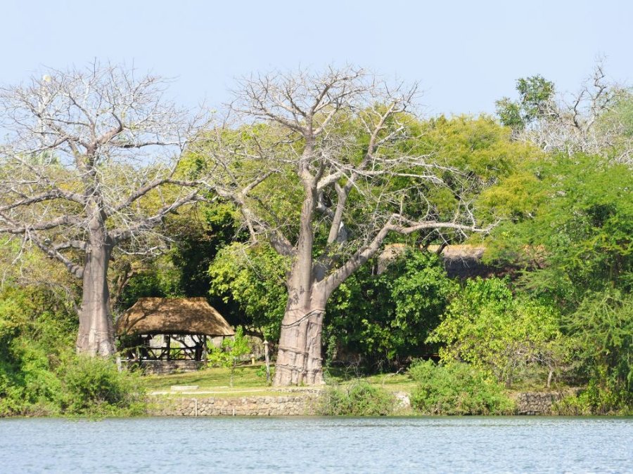 Mvuu Lodge
