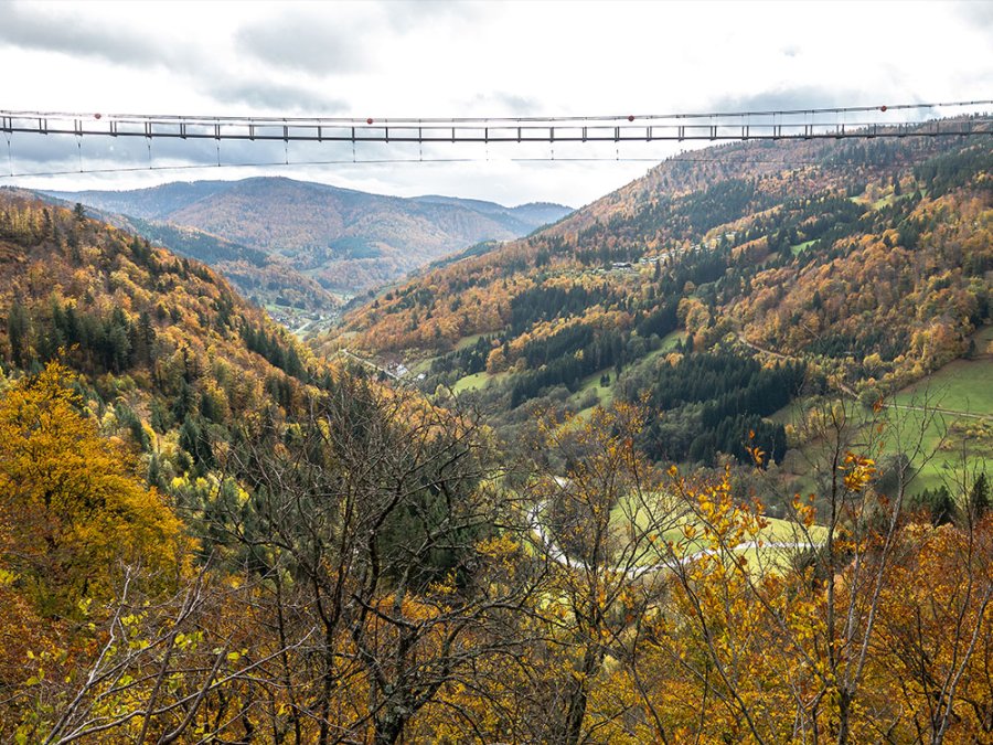 Gratis autovakantie Hochschwarzwald