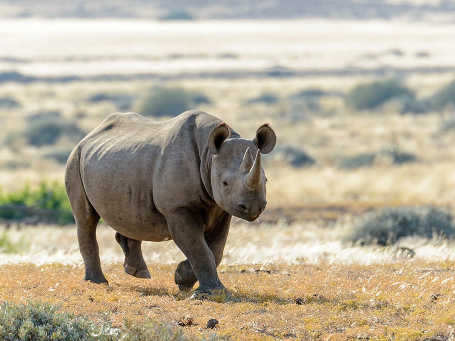 wAARDEvolle reis Namibië