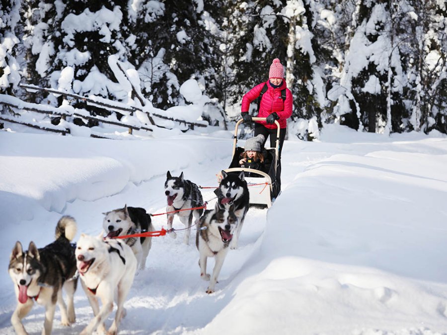 Huskytocht Huskytocht