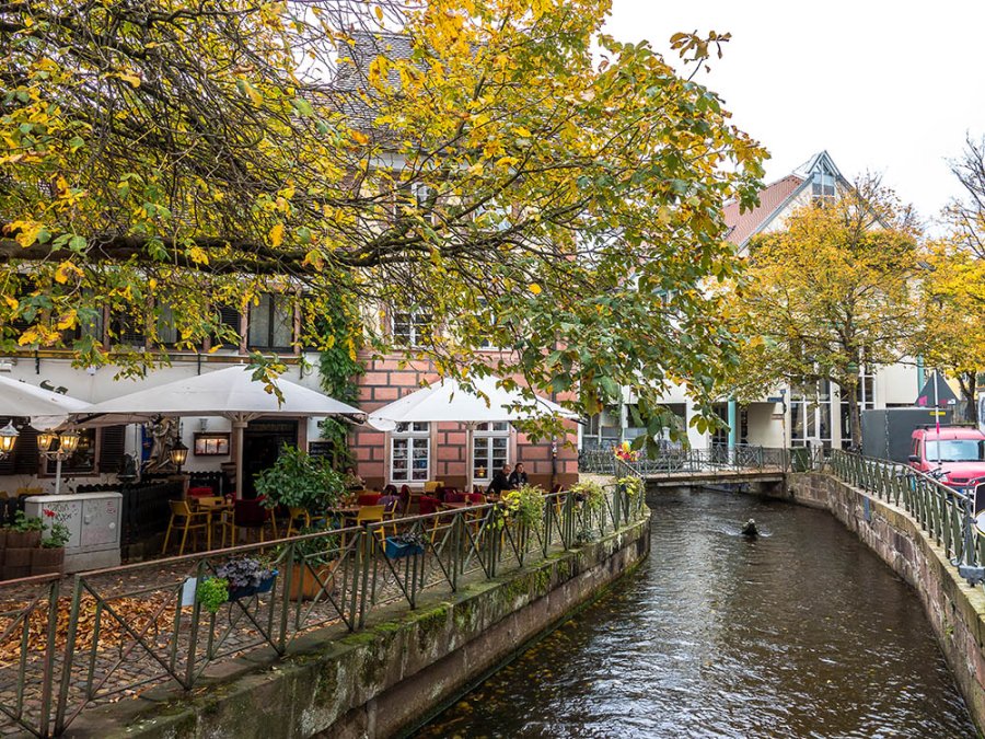 Rivier Dreisam Rivier Dreisam