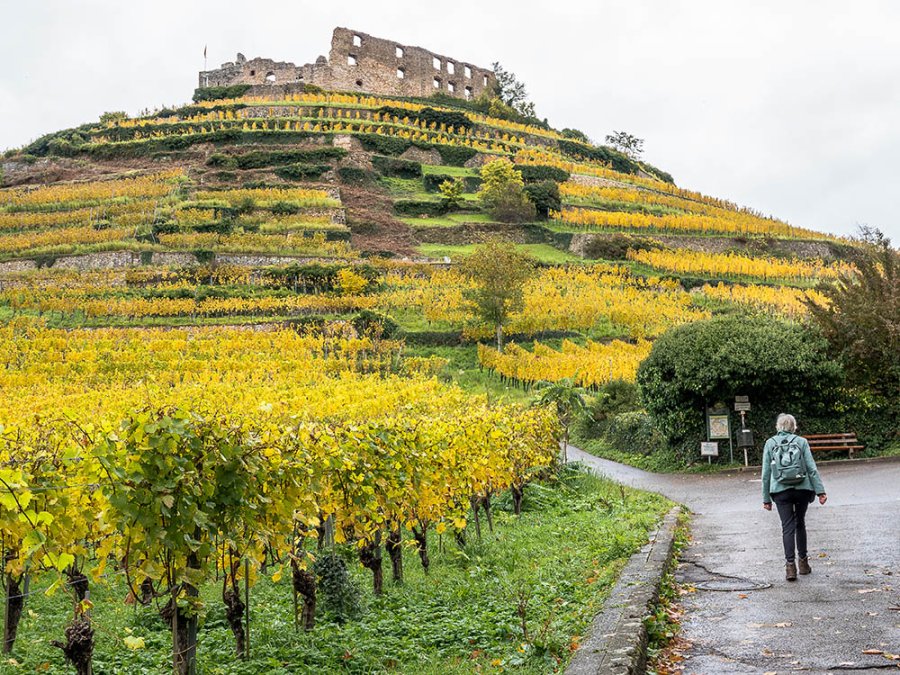 Staufen burchtruïne