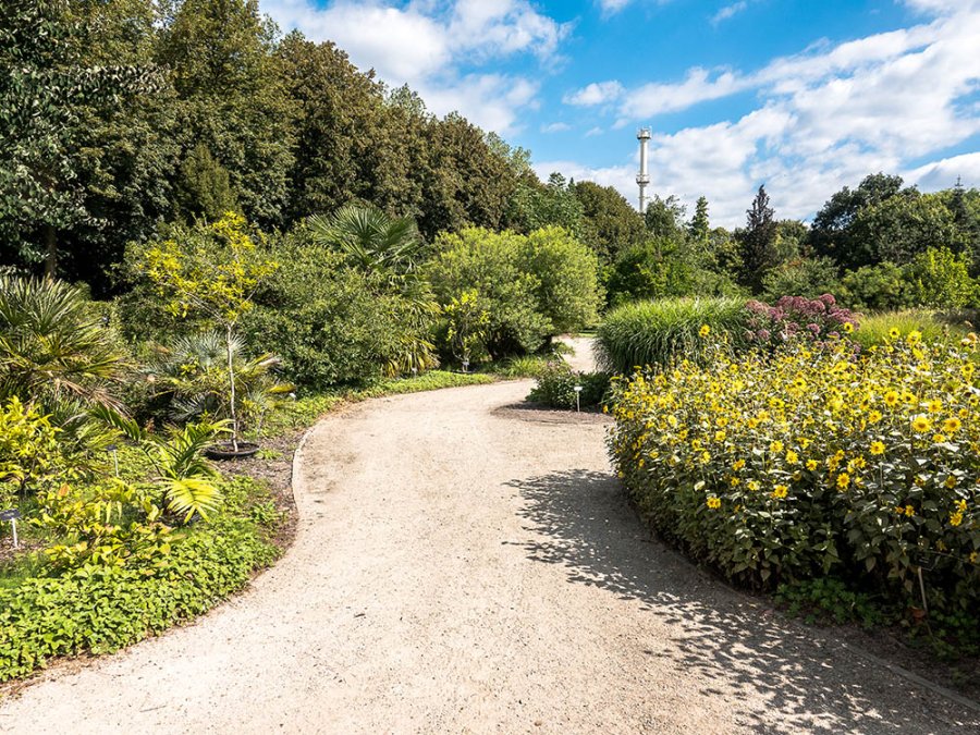 Arboretum Het Leen Arboretum Het Leen
