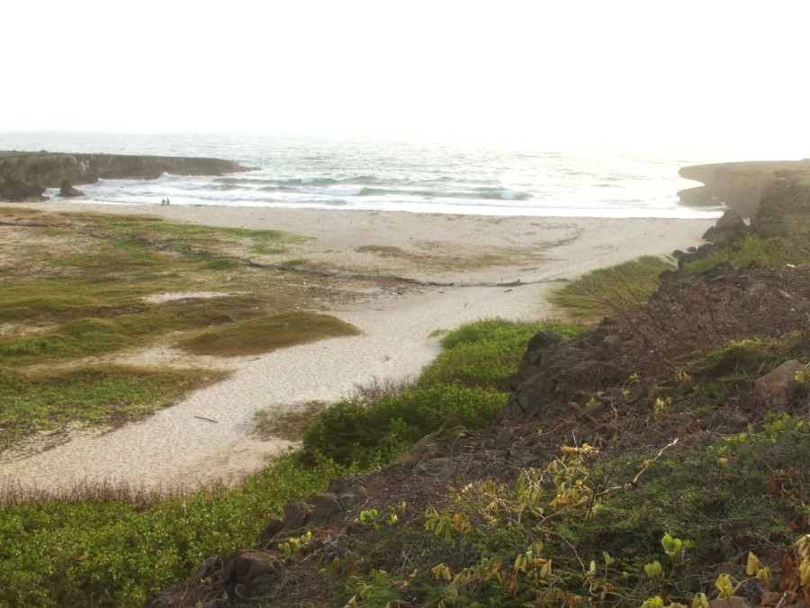 Daimari Beach Arikok