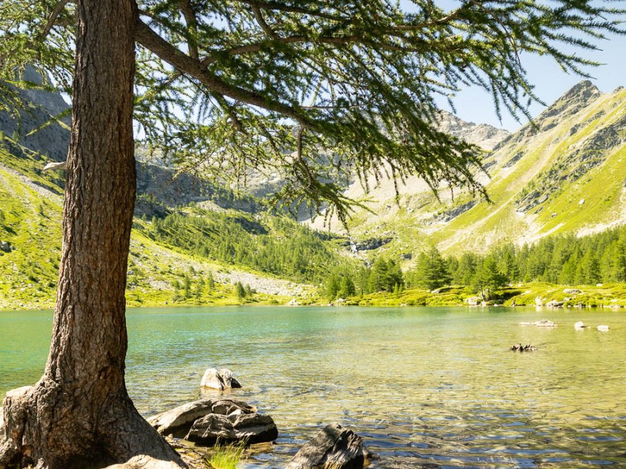 Lac d'Arpy Lac d'Arpy