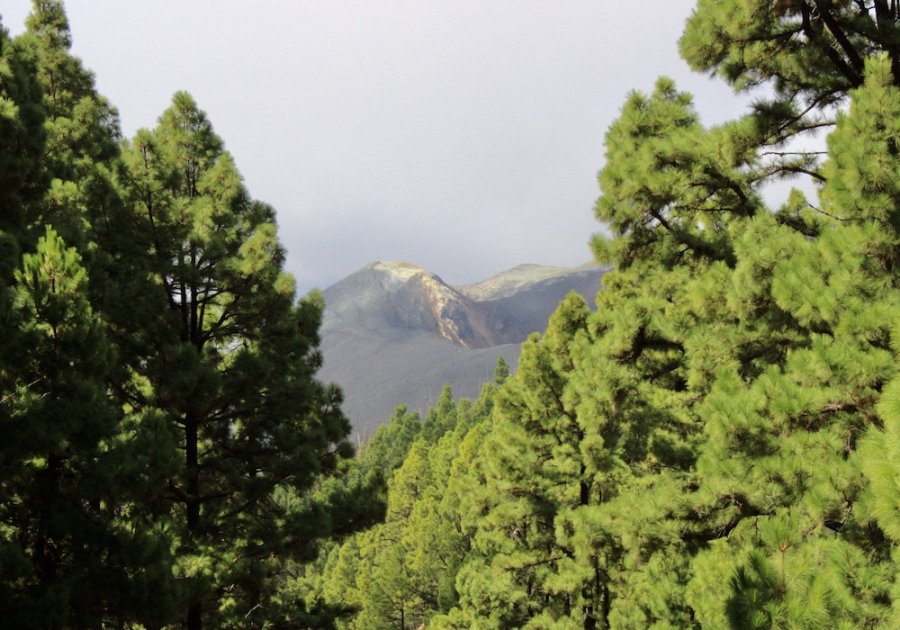 Zicht op Volcán Tajogaite