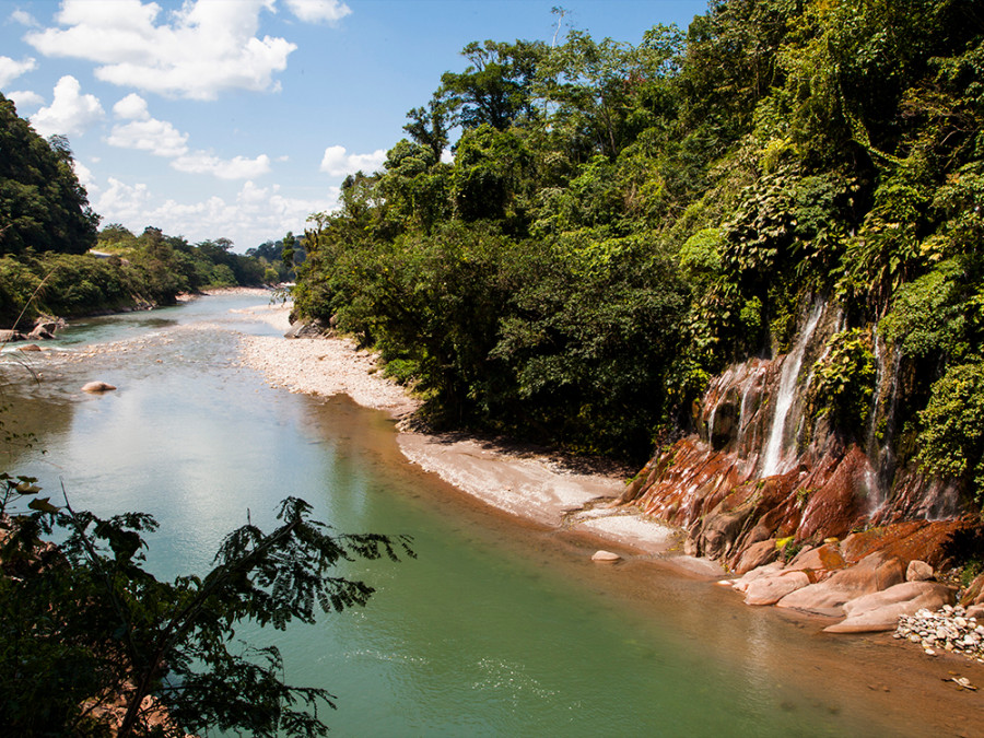 Nationaal Park Cordillera Azul