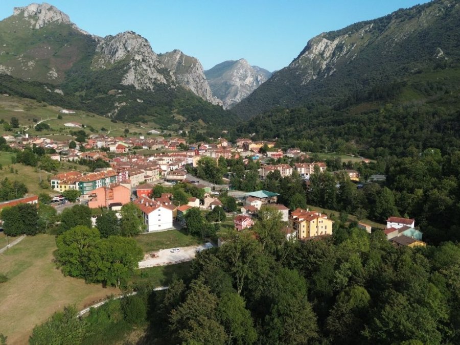 Cabrales Picos de Europa