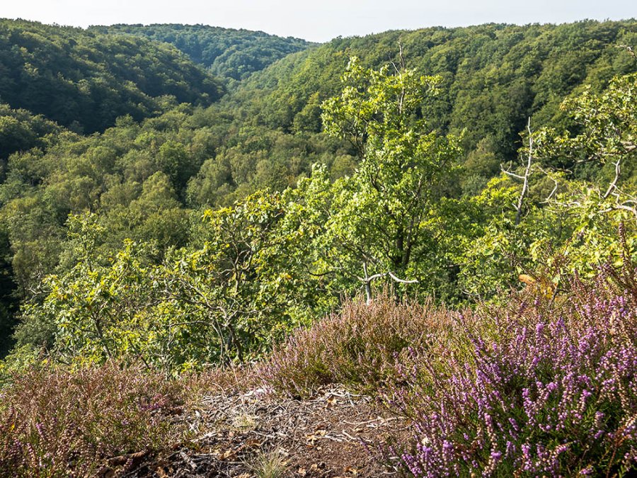 Uitzicht op de vallei Uitzicht op de vallei