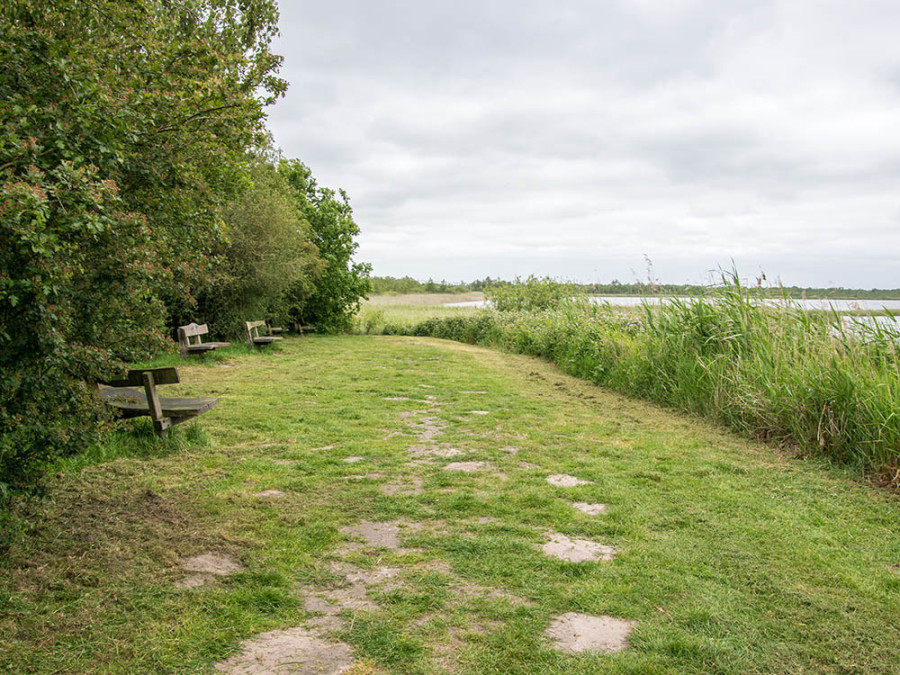 Muggenbult Naardermeer