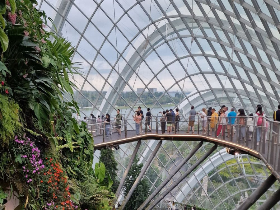 Cloud Forest Singapore Cloud Forest Singapore