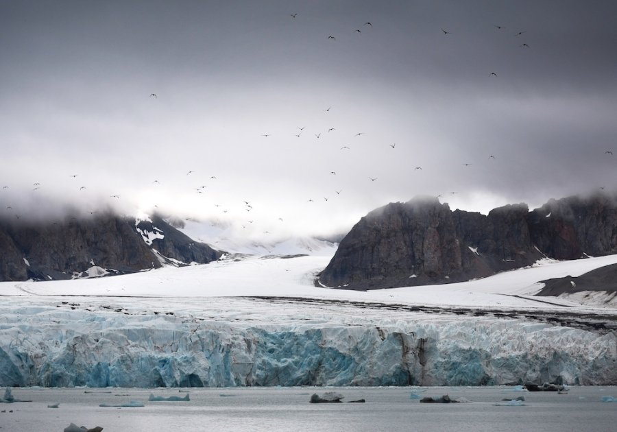 Natuur in Spitsbergen