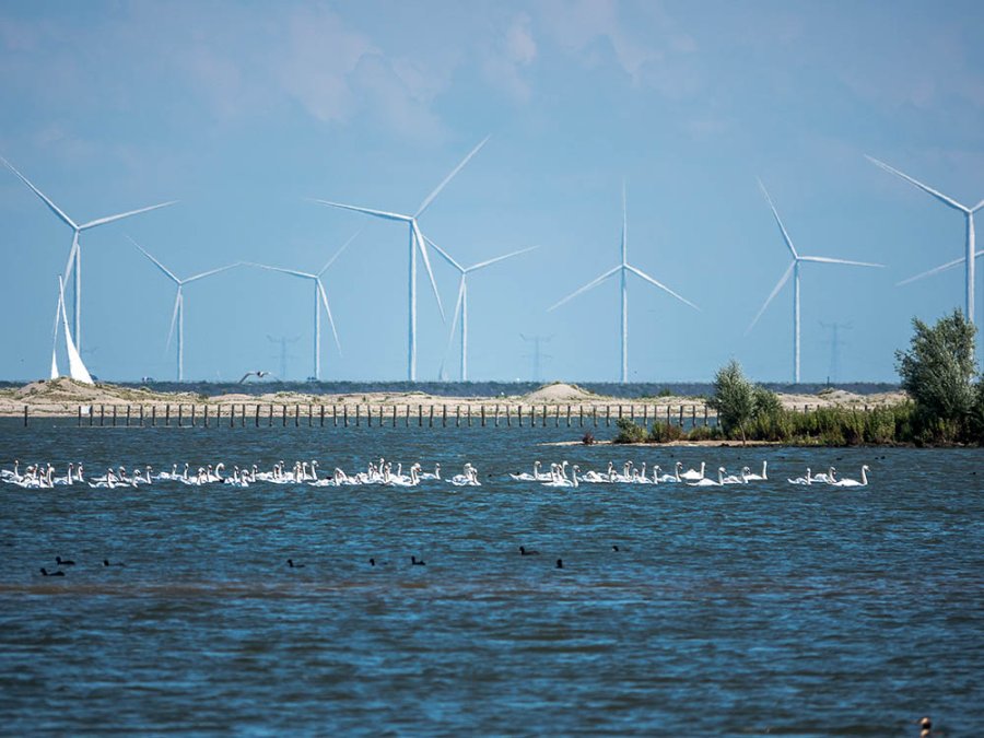Markermeer gebied