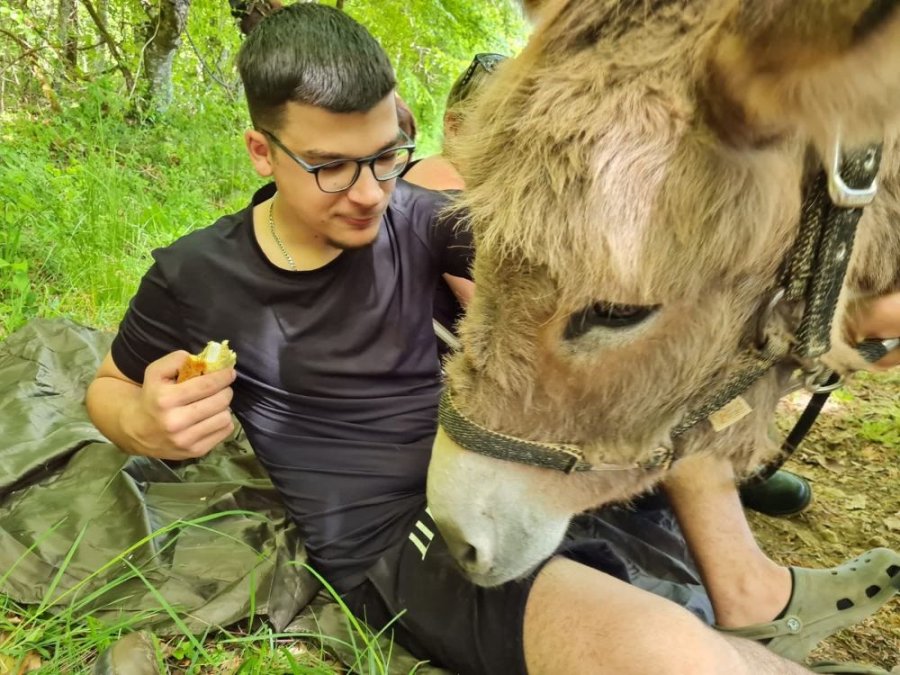 Ezelwandeling Bourgogne