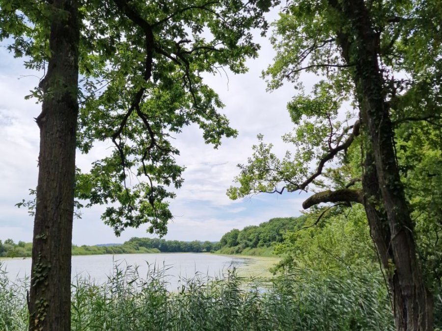 Regionaal natuurpark Lorraine