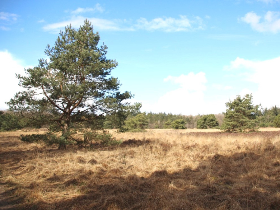 Klein Boeschoten Klein Boeschoten