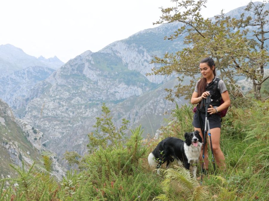 Wandelen Picos de Europa Cantabrië Wandelen Picos de Europa Cantabrië
