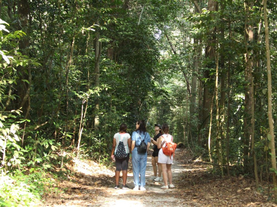 Hiking in Singapore