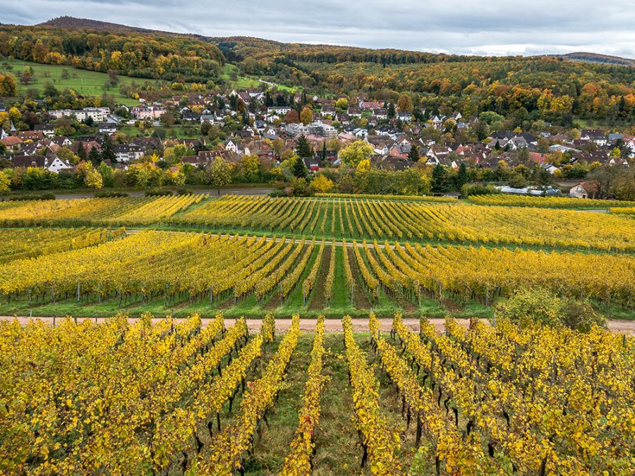 Badische Weinstrasse